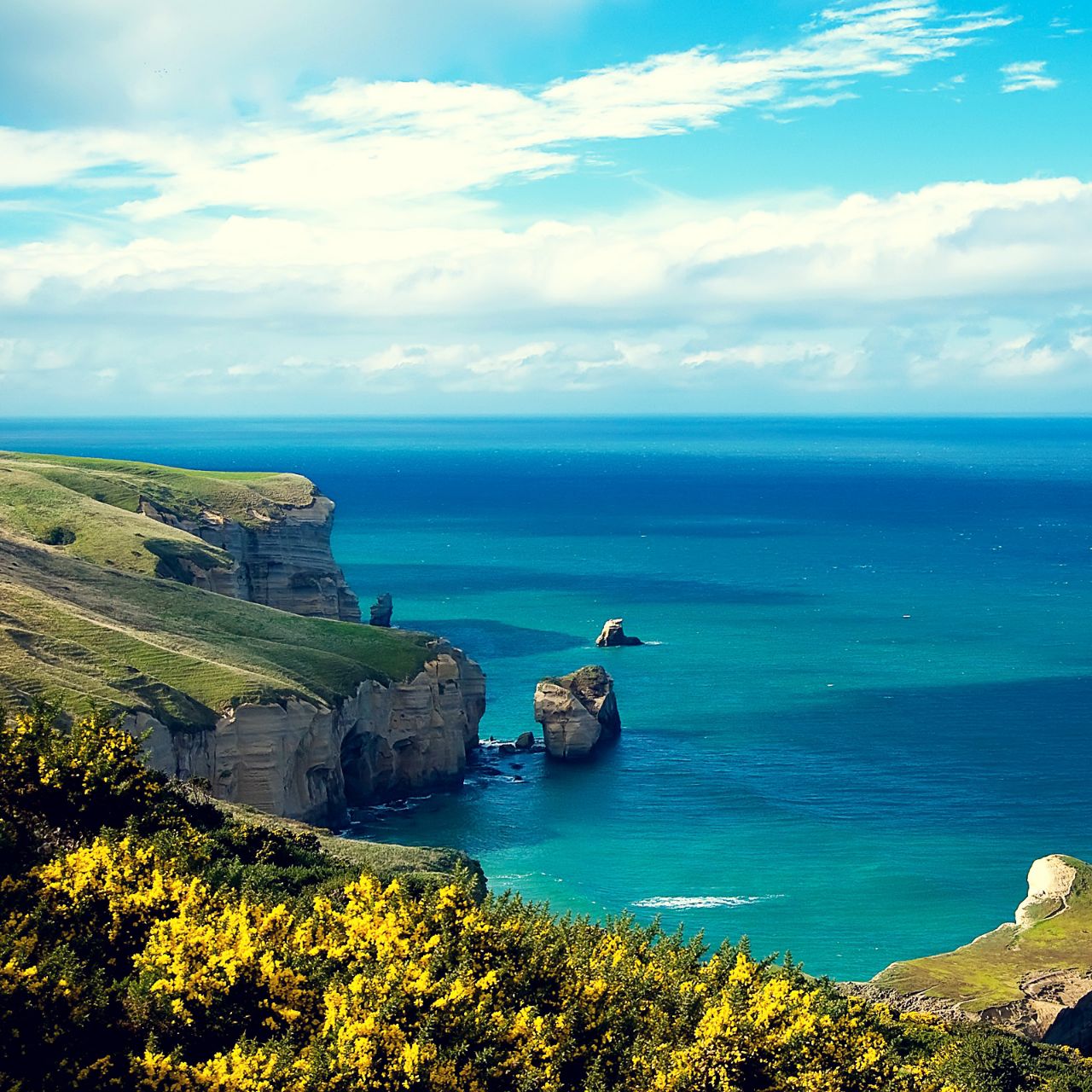 添佳陪你游世界