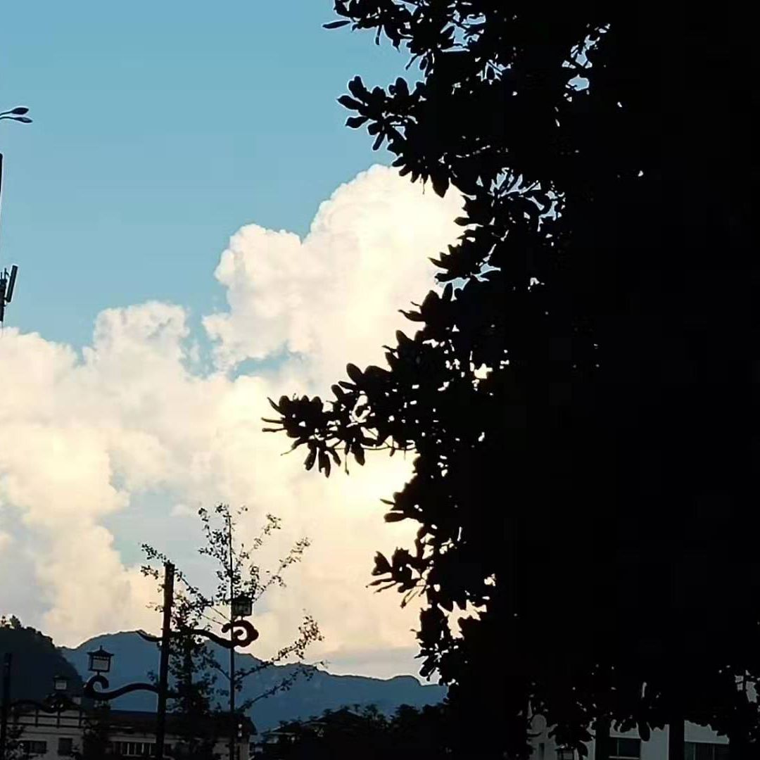音乐就是生活里的星辰呀