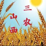 山西三农之声