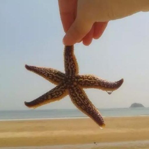 广广土土