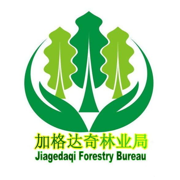 加格达奇林业局