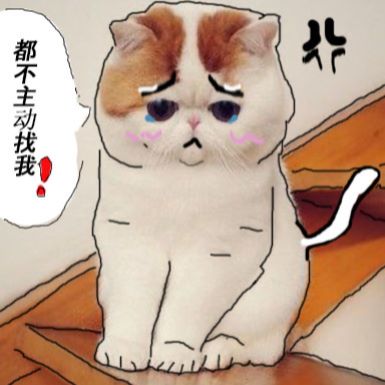 子梨加
