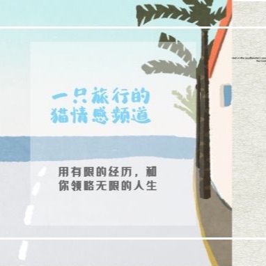 一只旅行的猫情感频道
