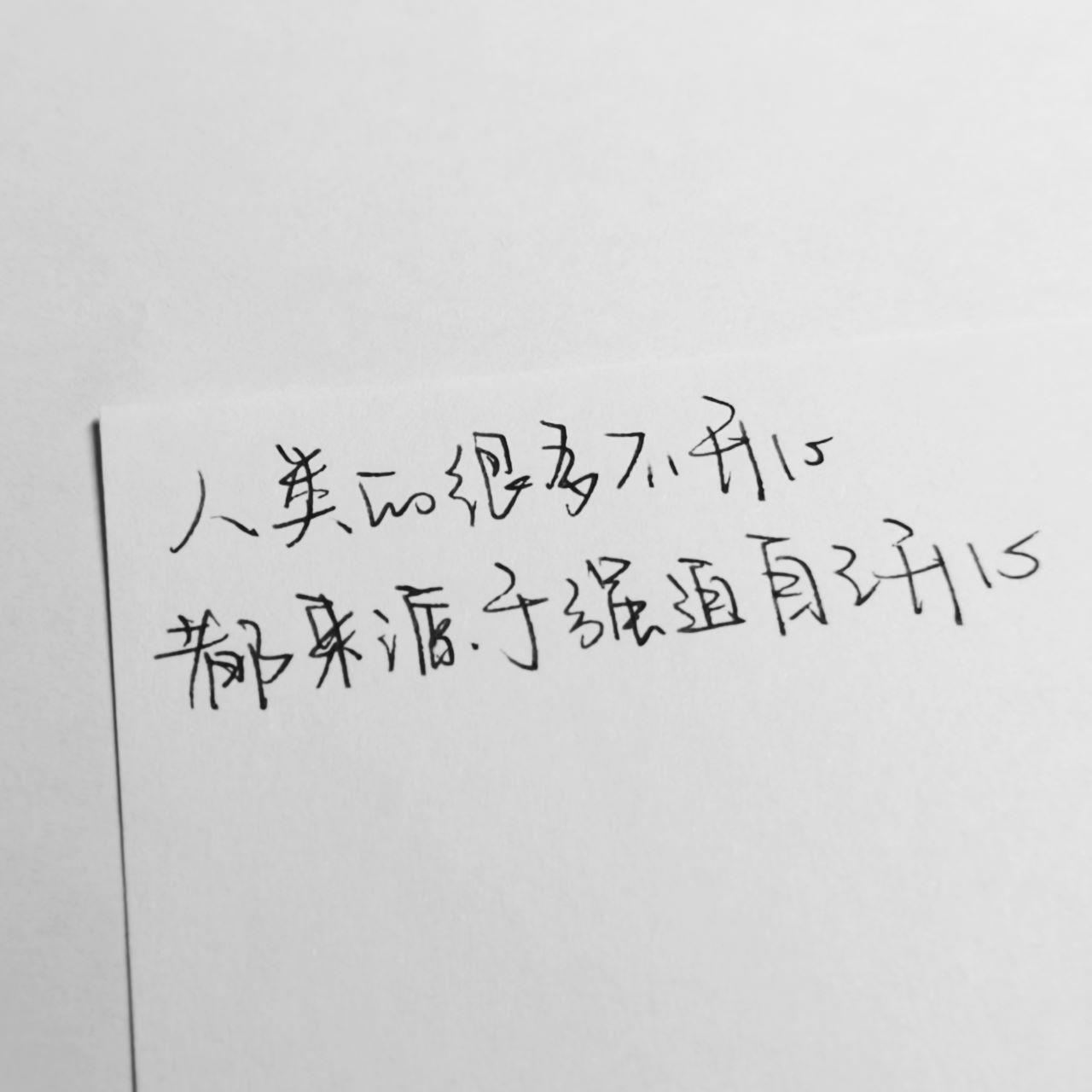 秋色向南