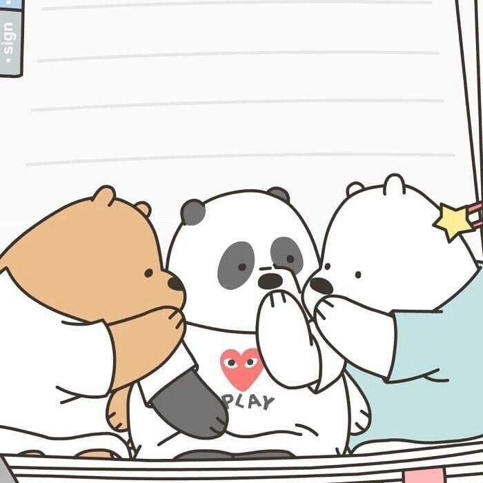 三只熊崽