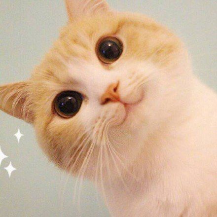娜看影视