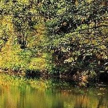 柒柒旅行走天下