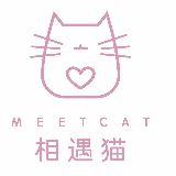 相遇猫