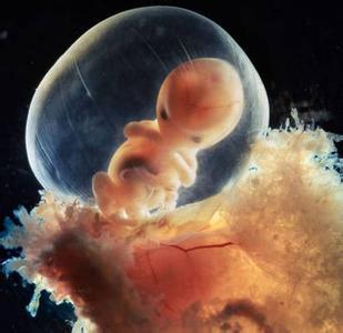 胎儿成长最快的一个月,孕妈一定注意这些事,否则影响胎儿发育