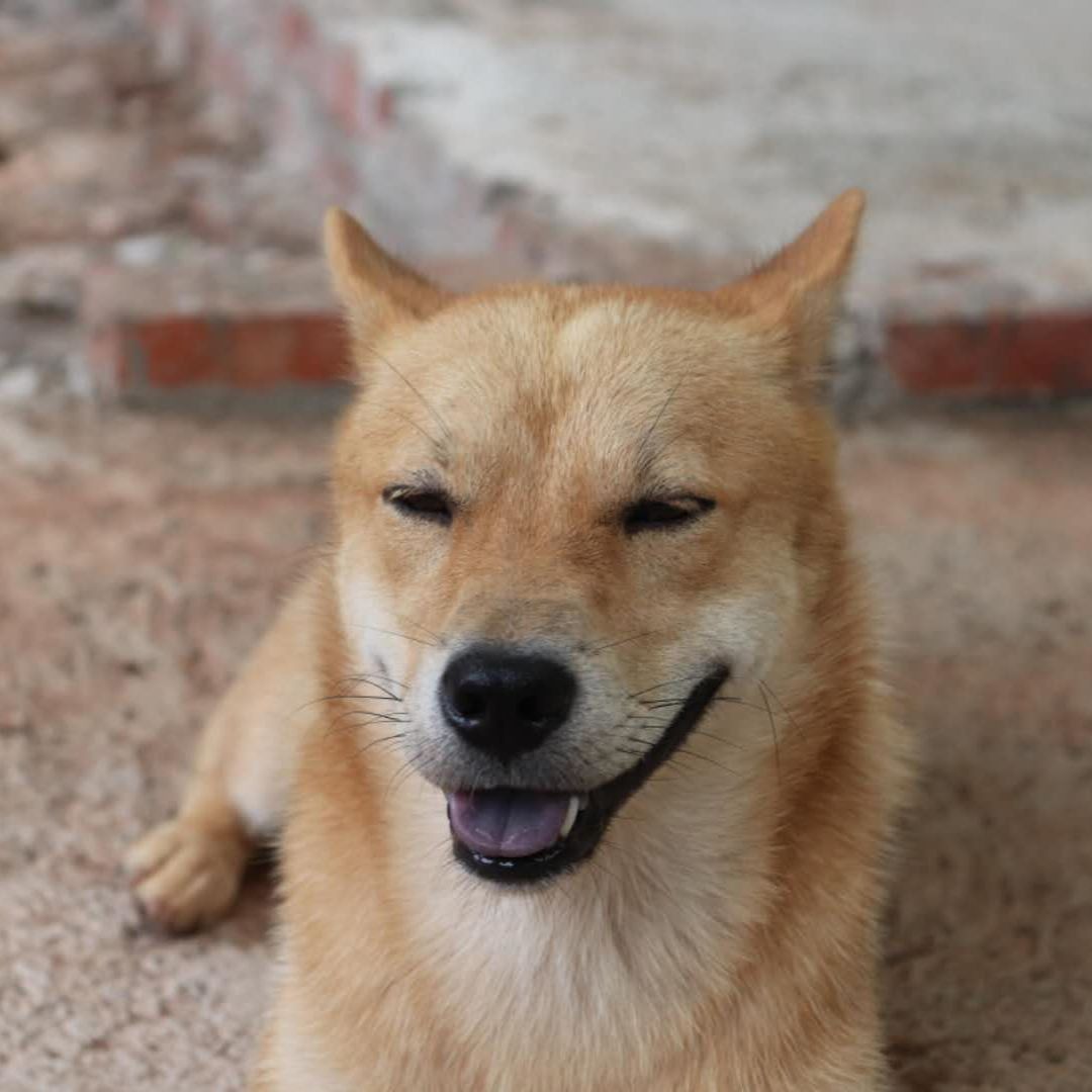 卖欢愉的小女孩