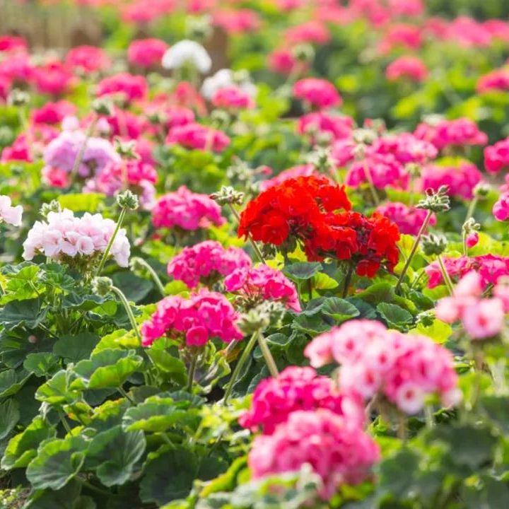 与美好世界相遇