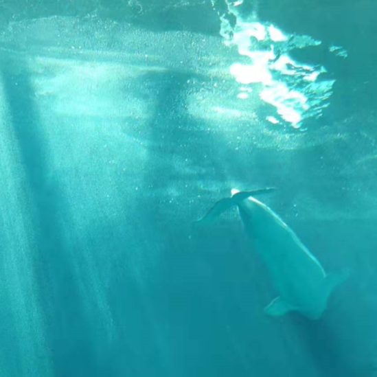 陆乾坤的运营笔记