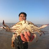 海边大胖