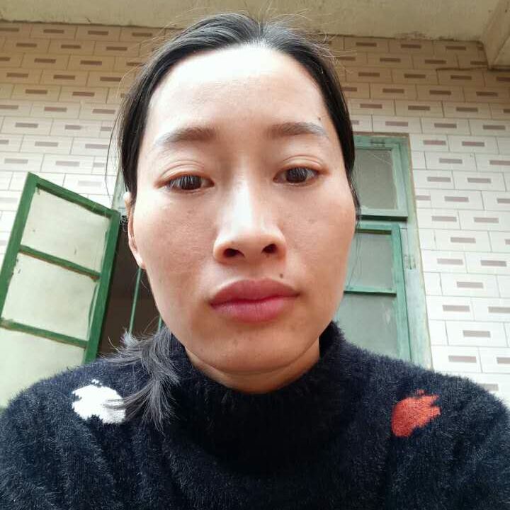 小菲生活录