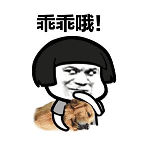 猫着背的狗
