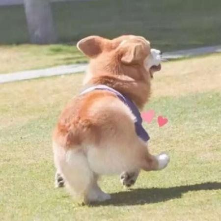 这个昵称有点甜