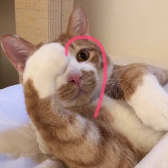 小熊泡芙映画館