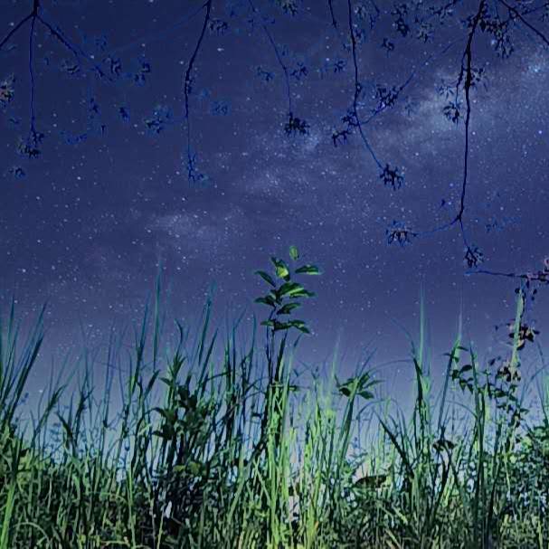 今夜我只关心宇宙