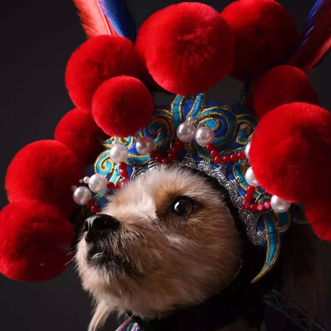 不想做导演的剪辑手不是好同学