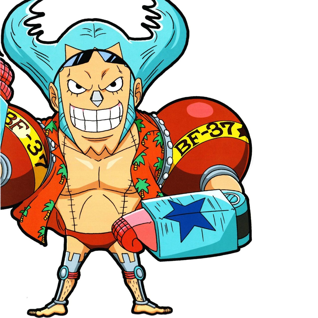 大毛的孤独生活