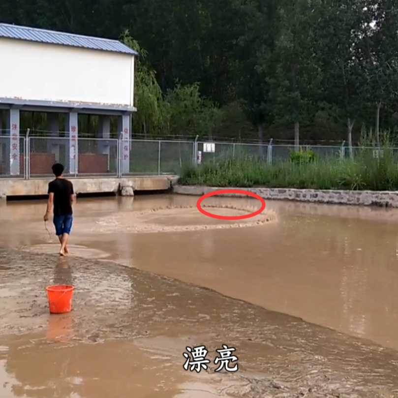 农村兄弟搞野