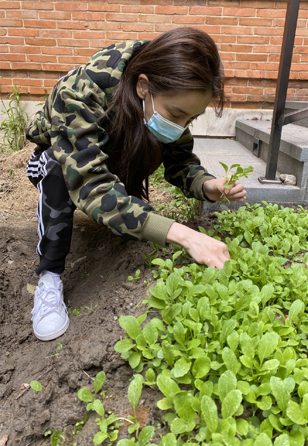 立人设翻车?杨颖晒亲手种菜图,却因鞋底太干净被指摆拍痕迹明显