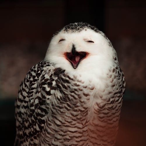 坚持自我永不放弃