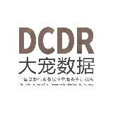 大宠数据