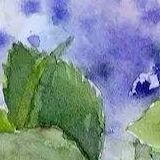 十里荷塘秋水长