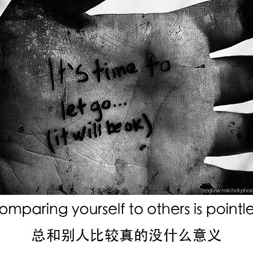 陆地上的一条鱼