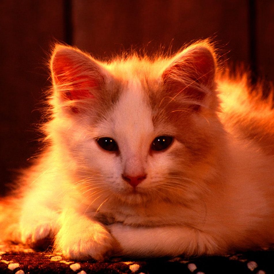 纵览青史三千年