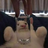 炸囍丸子