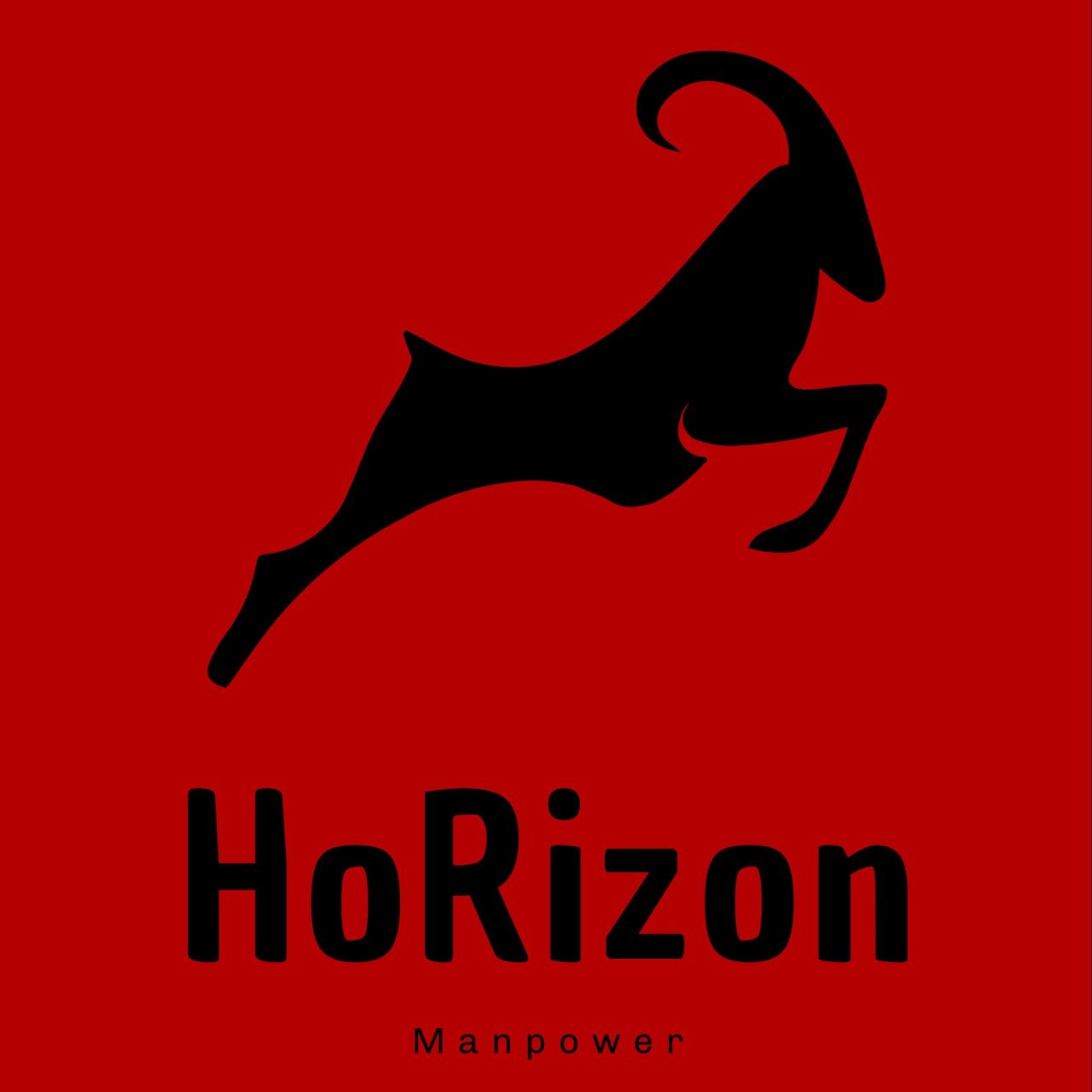 HoRizon外国人签证