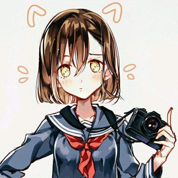 校园知识分享官