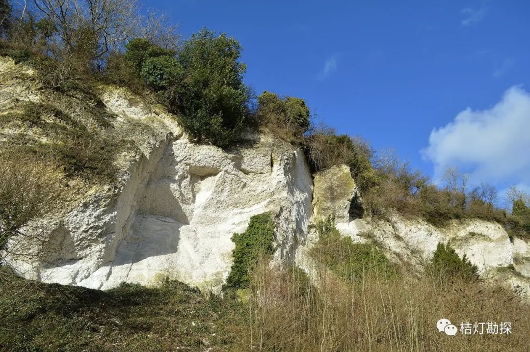 石灰岩( limestone):   白垩岩(chalk),   贝壳灰岩(coquina)等.