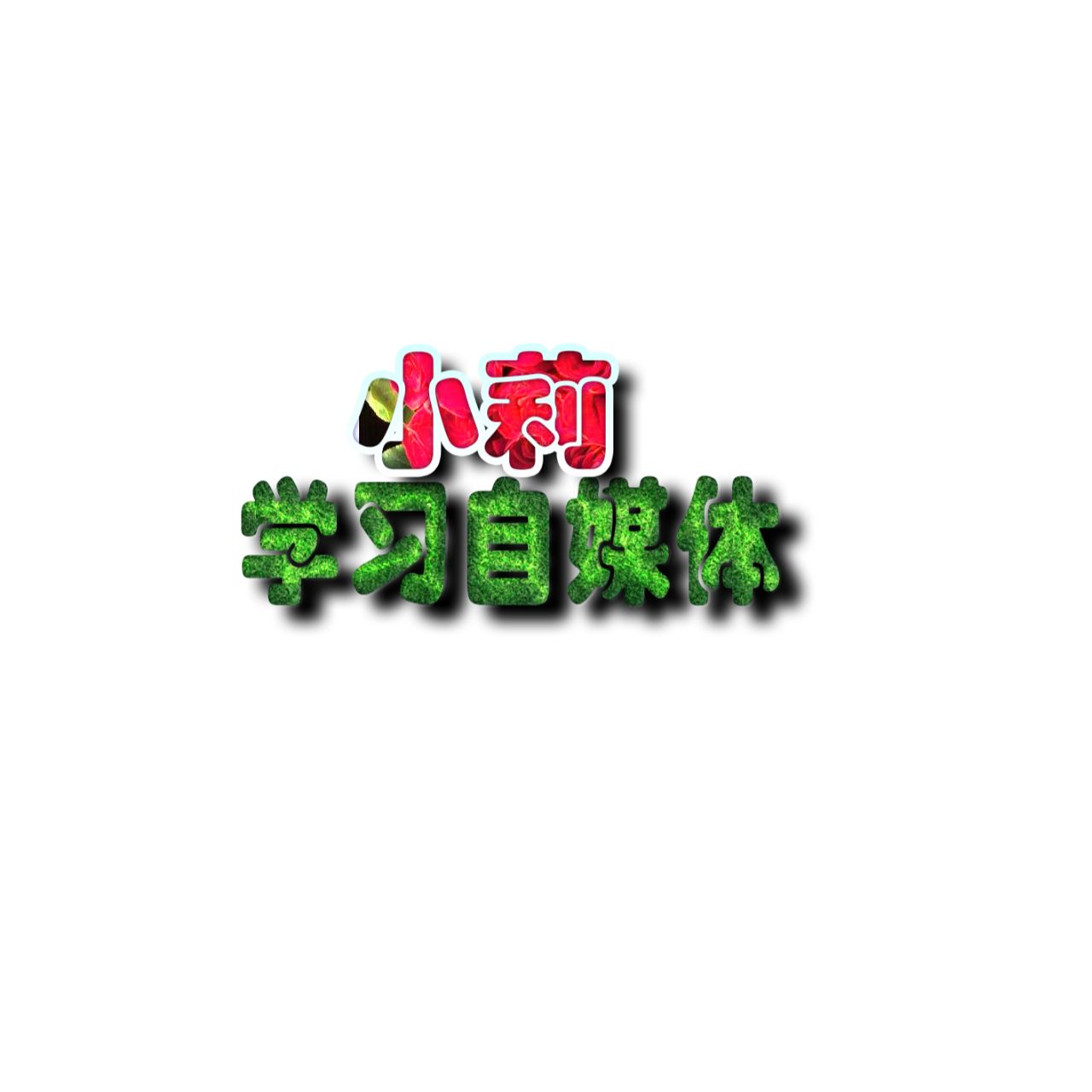小莉视角