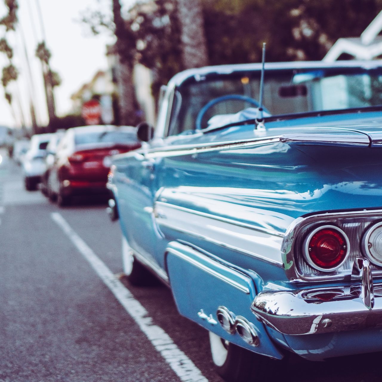 随风而逝的倔强