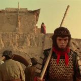 贝塔眼中的影视世界