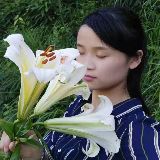我独沉吟