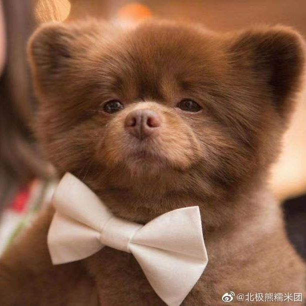 绝望主妇