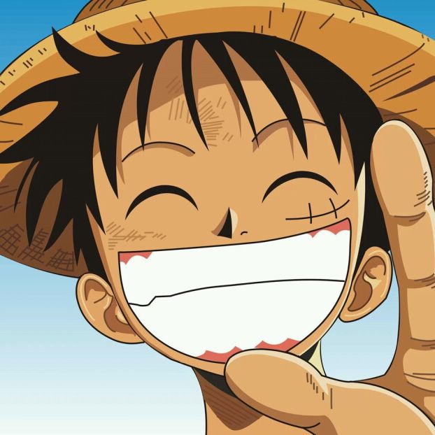 爱看动漫的饭饭君