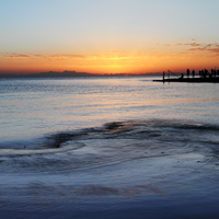 水产养殖技术小帮手