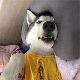 笑笑游戏小助手