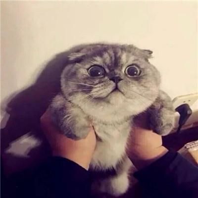 子阳哥哥讲故事