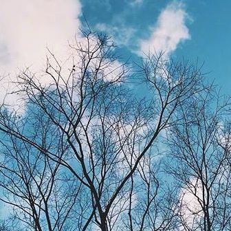 小小女士的信箱