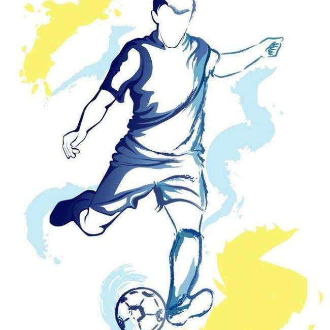 林子欧洲杯足球