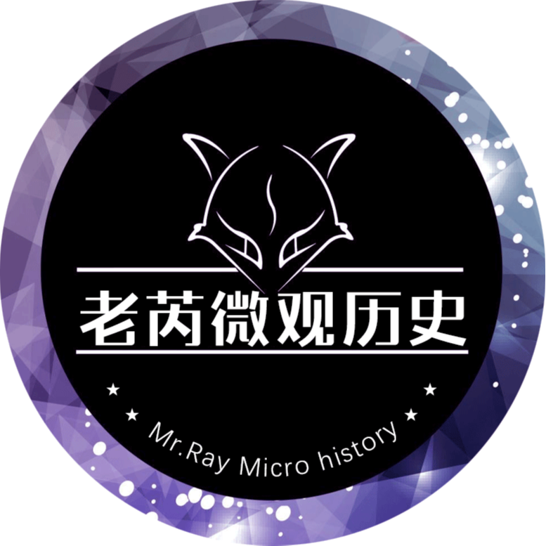 老芮微观历史