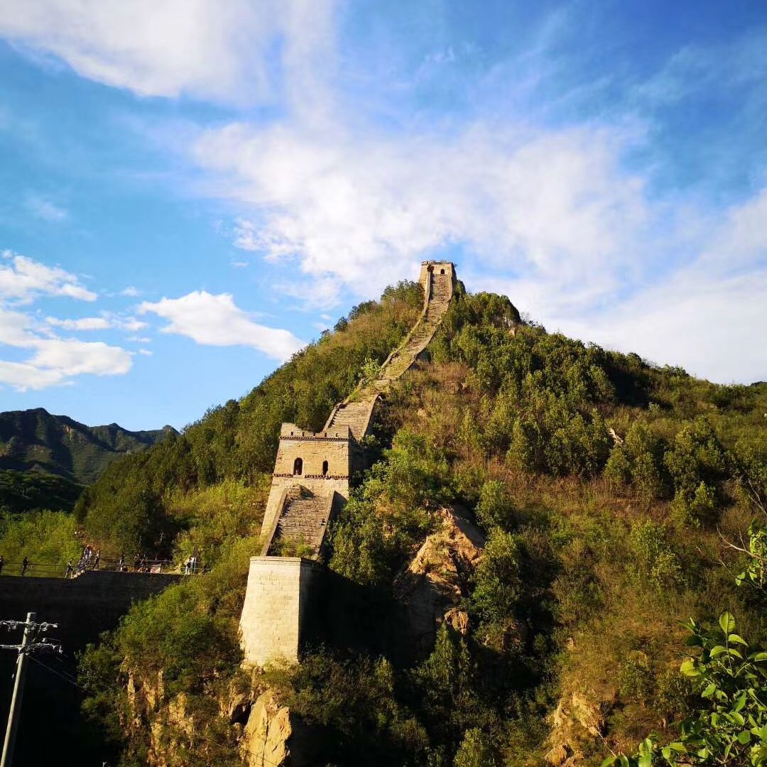 没想好怎么办
