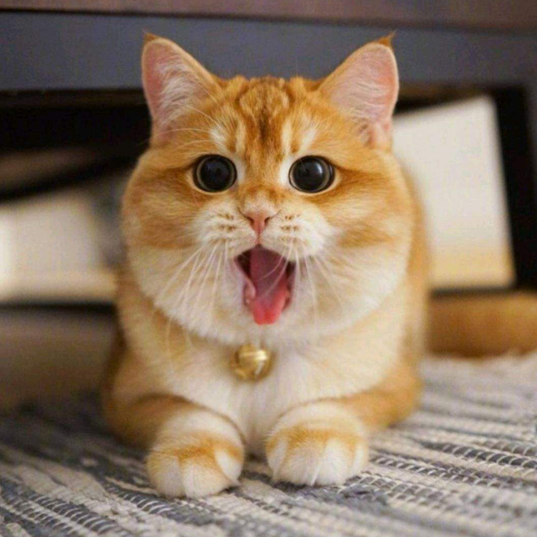 游离在心事之外