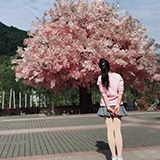 天天一首古诗词